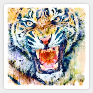 Angry Tiger Watercolor Close-up Sticker